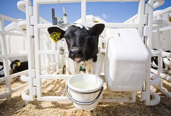 Молдова пригласила Беларусь построить высокоинтегрированный молочно-товарный комплекс