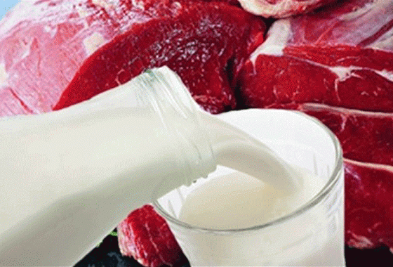 Беларусь заключила контракты на поставки мясомолочной продукции в Китай на $114 млн