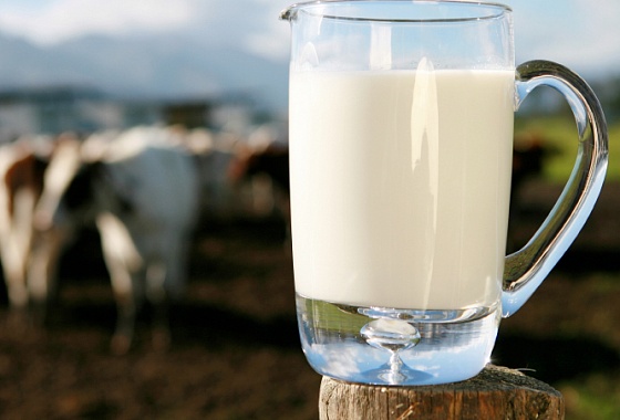 Белорусские производители увеличили выпуск молока