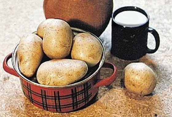 Шведские ученые создали картофельное молоко