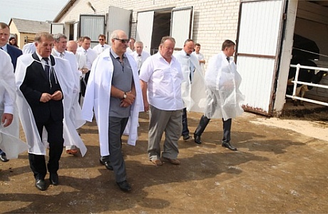 Молочно-товарные фермы в Беларуси достроят до конца 2018 года