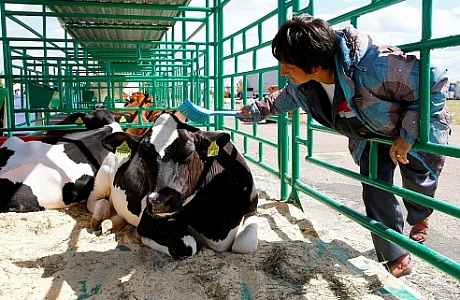 Минсельхозпрод Беларуси ведет переговоры с китайской DRex Food по строительству молочной фермы стоимостью $250 млн.
