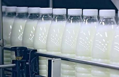 Ключевыми факторами развития молочного рынка в 2019 году сохранятся погода и политика