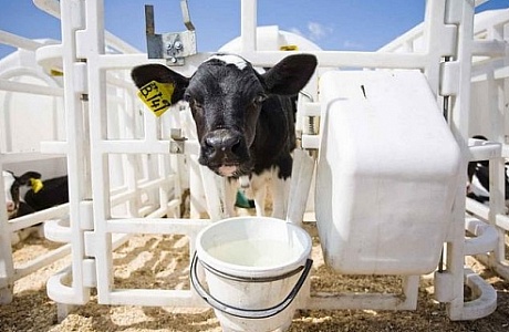 Молдова пригласила Беларусь построить высокоинтегрированный молочно-товарный комплекс